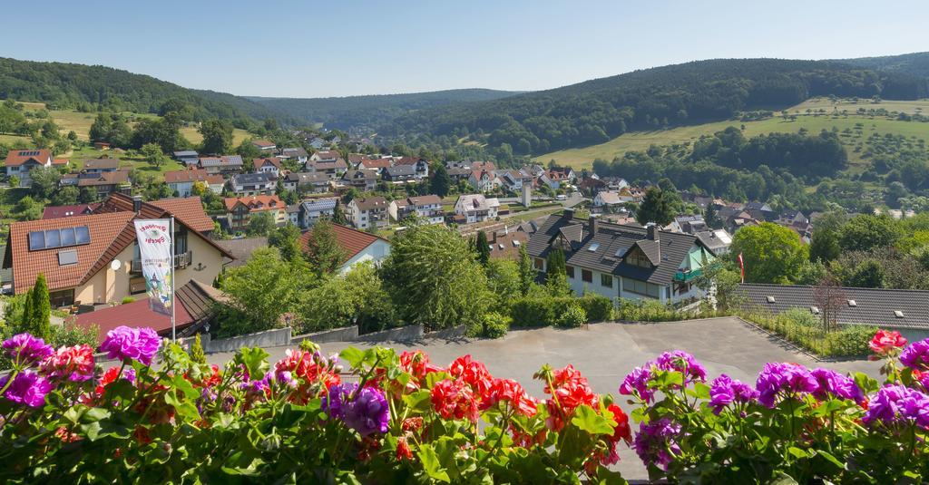 Panorama Hotel Heimbuchenthal Exteriör bild